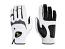 Hirzl Trust Hybrid Golf Glove 